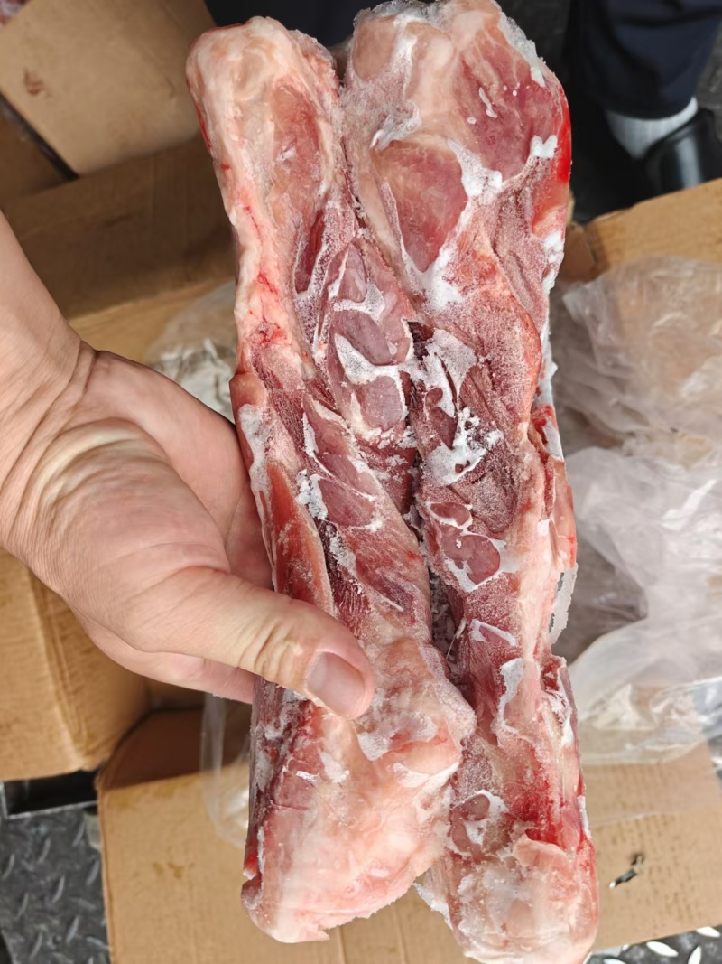 带肉前腿骨，30%肉，新货20吨，标猪