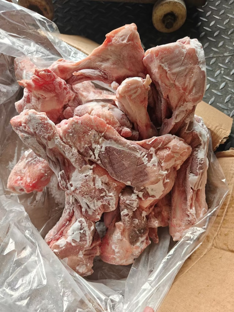带肉前腿骨，30%肉，新货20吨，标猪