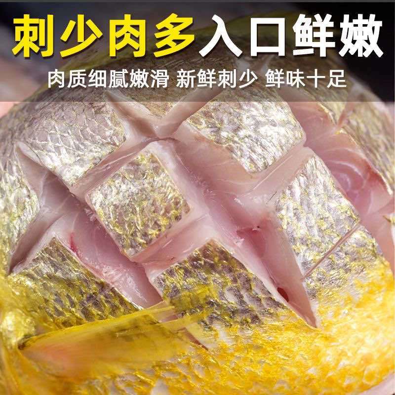 深海黄花鱼5条起发可以批发(300-400g每条)