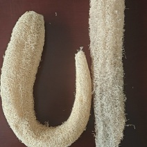 丝瓜络