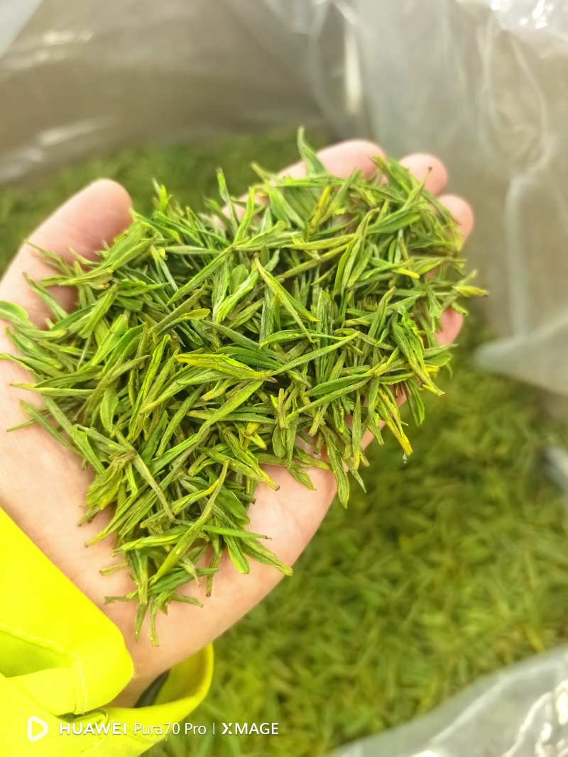 预售安吉白茶，最终以市场价为准