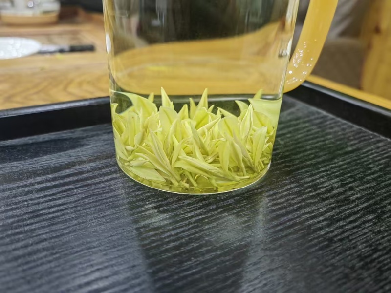 预售奶白黄金芽，最终以新品市场价为准