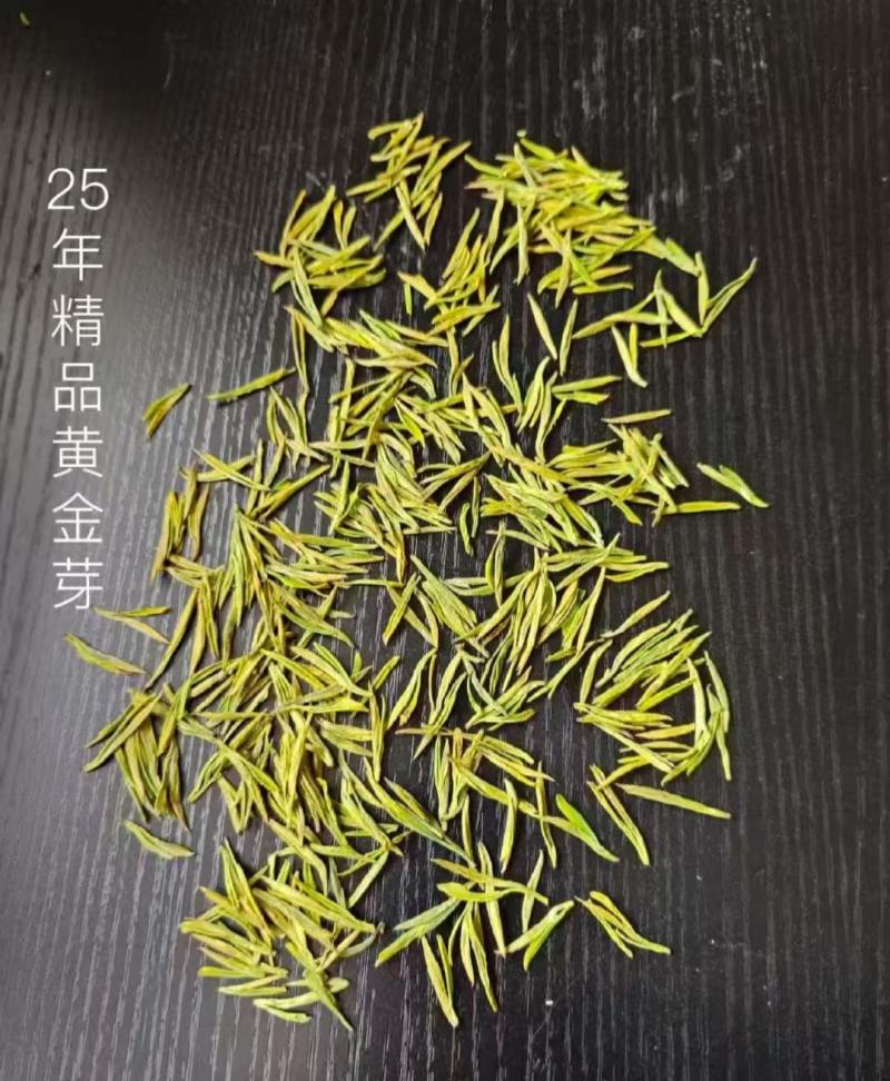 预售奶白黄金芽，最终以新品市场价为准