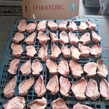 508耳朵出成高