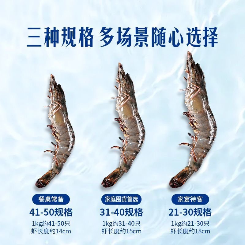 泰国黑虎虾