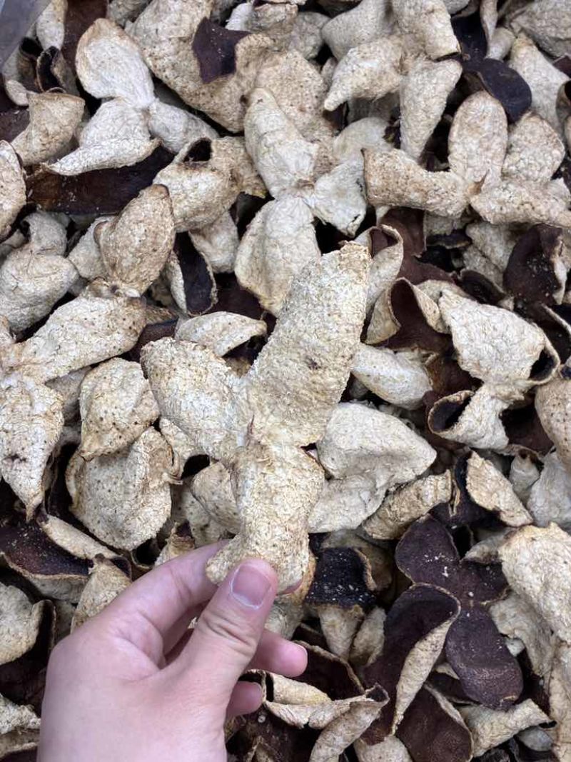 椪柑三花陈皮，品质陈皮长期供应自产自销营养丰富健康生活必备