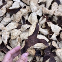 椪柑三花陈皮，品质陈皮长期供应自产自销营养丰富健康生活必备