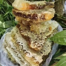 海南尖峰岭野生土蜂蜜