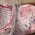 电商**:羔羊全排。带肉率高。可定制，包装，一件代发。