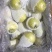 青皮皇冠梨