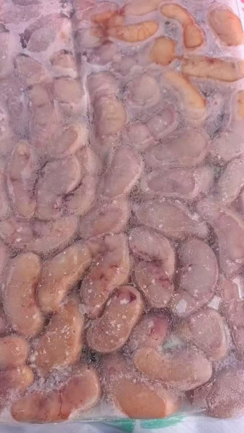 厂家种鸡腰子2吨