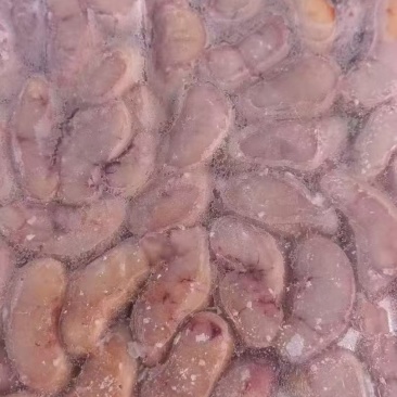 厂家种鸡腰子2吨