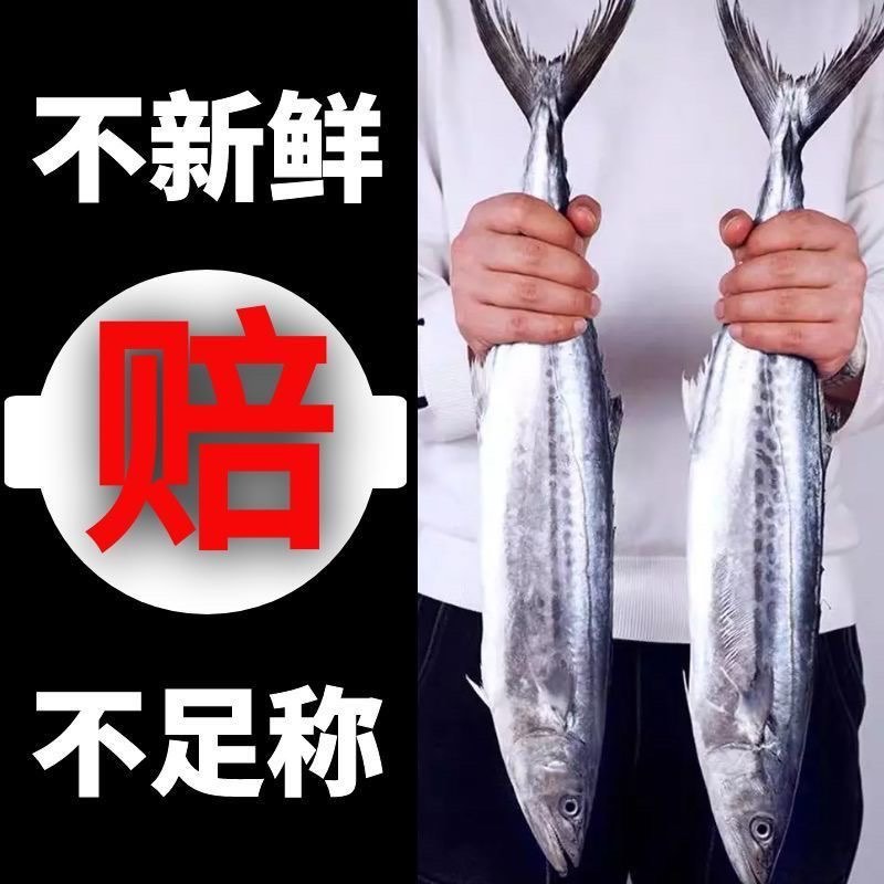 【极速冷链】燕尾鲅鱼新鲜特大马鲛鱼燕鲅鱼鲜活海鲜深海海鱼批发