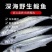 【极速冷链】燕尾鲅鱼新鲜特大马鲛鱼燕鲅鱼鲜活海鲜深海海鱼批发