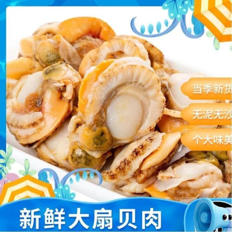 新鲜冷冻皇冠贝扇贝肉海鲜贝类冷冻生鲜5斤