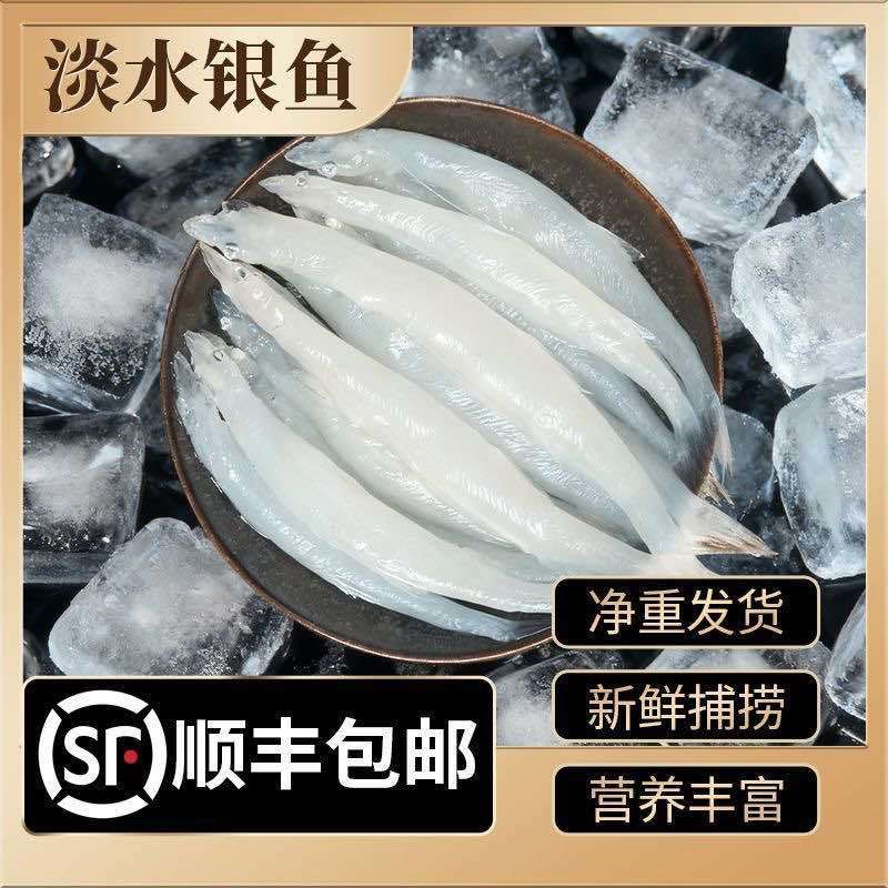 淡水银鱼新鲜野生速冻面条鱼银鱼2斤