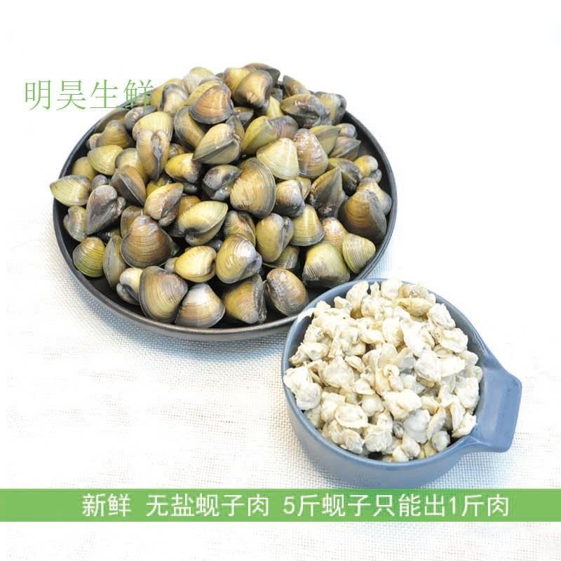 新鲜淡水蚬子肉少盐去壳无沙苏北溱湖特产蛤蜊肉黄蚬子贝壳肉