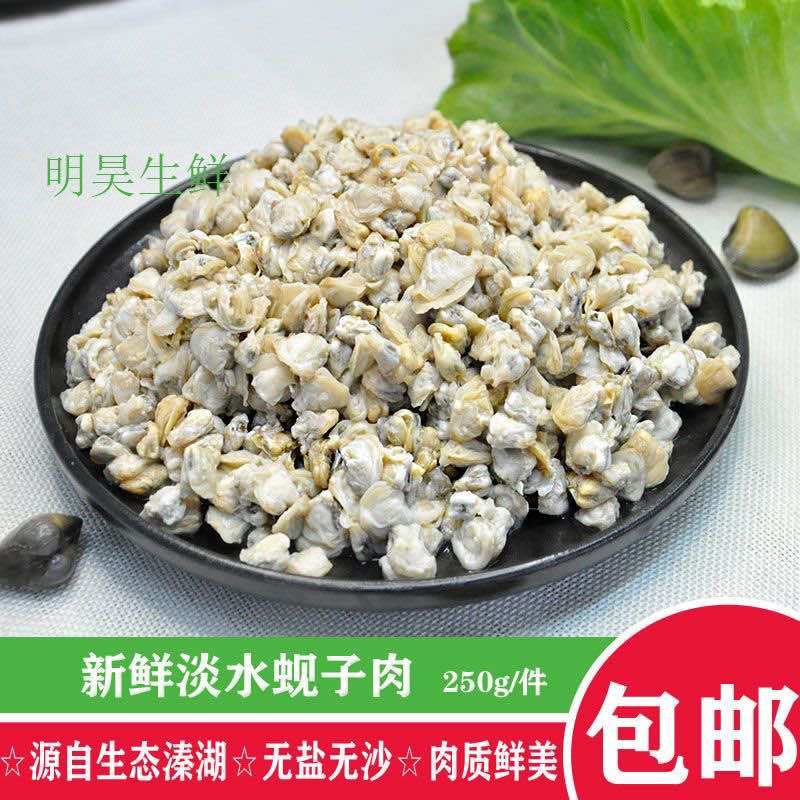 新鲜淡水蚬子肉少盐去壳无沙苏北溱湖特产蛤蜊肉黄蚬子贝壳肉
