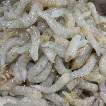 手剥白银虾仁，羊毛虾仁