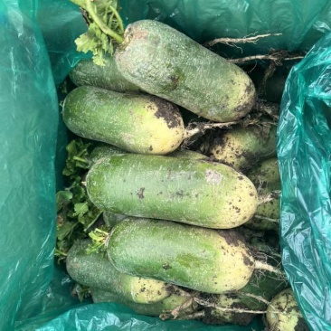 腾库出30吨紫樱不冻不康
