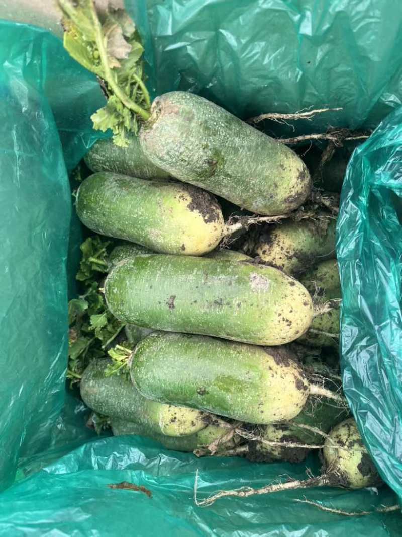 腾库出30吨紫樱不冻不康