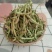 云南无筋豆豆角干干豆角工厂直发可一件代发