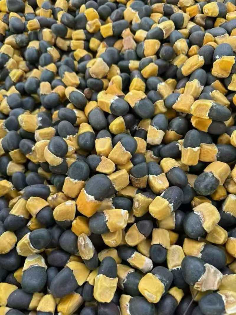 进口马牙果缅茄大量批发量大价优马牙果