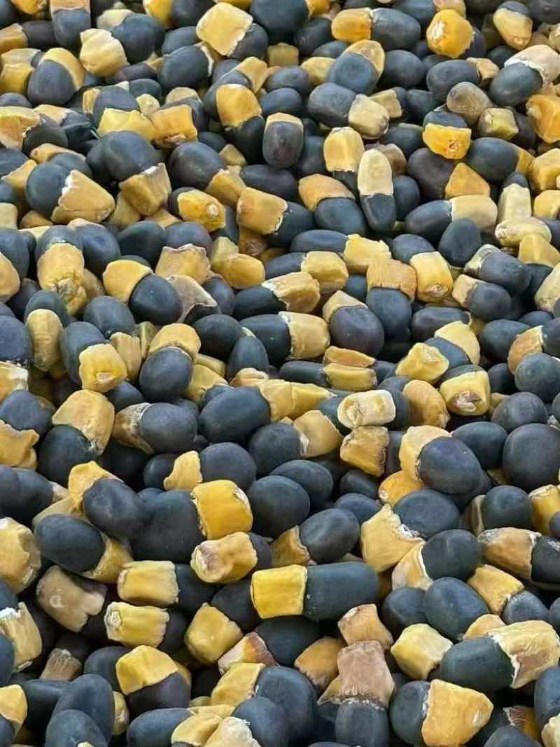 进口马牙果缅茄大量批发量大价优马牙果