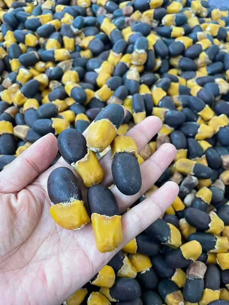 进口马牙果缅茄大量批发量大价优马牙果