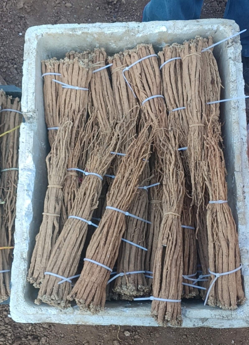 各种规格都有货要得联系