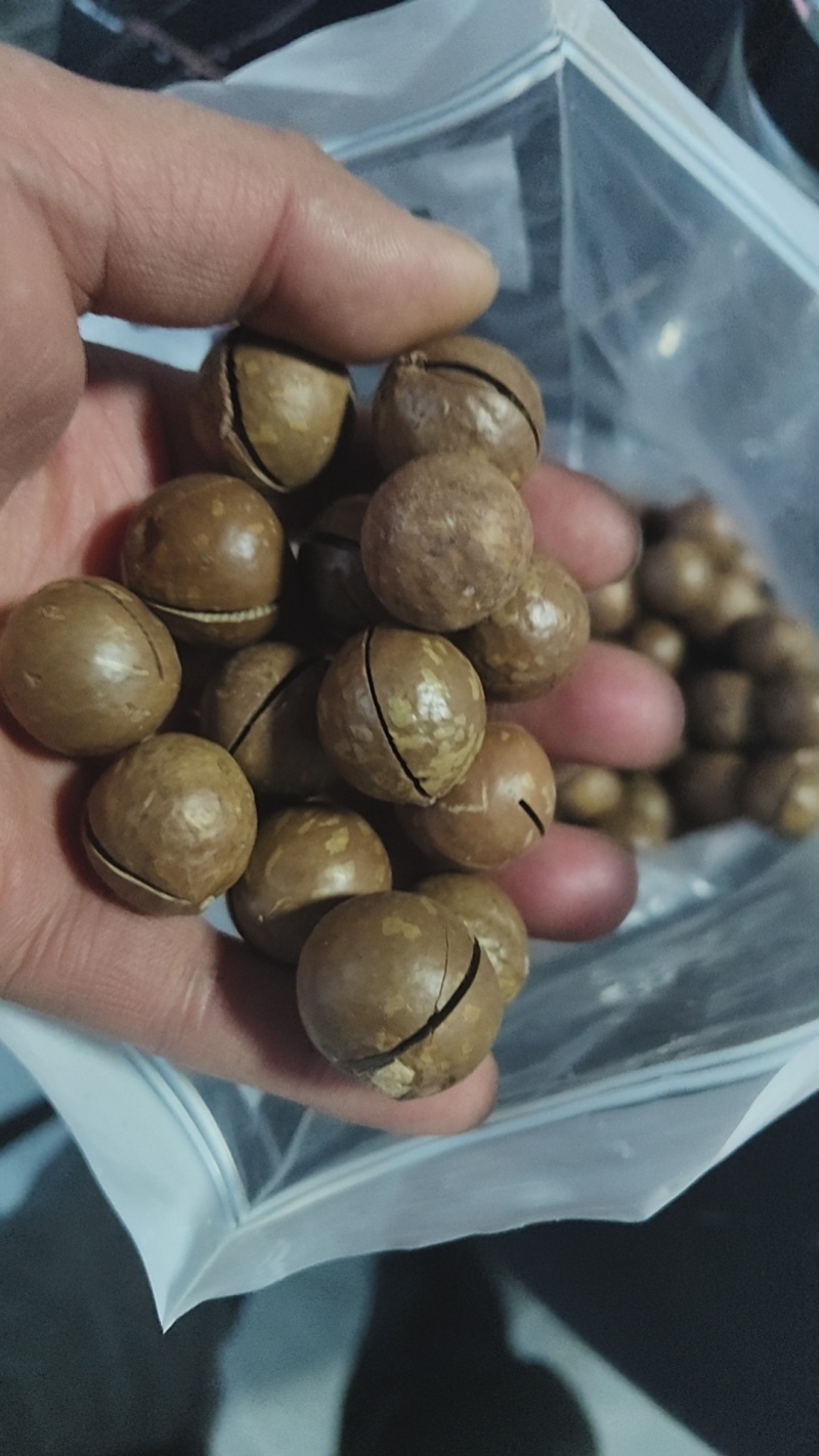 夏威夷果