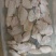 B级翅中不分机！品质优越