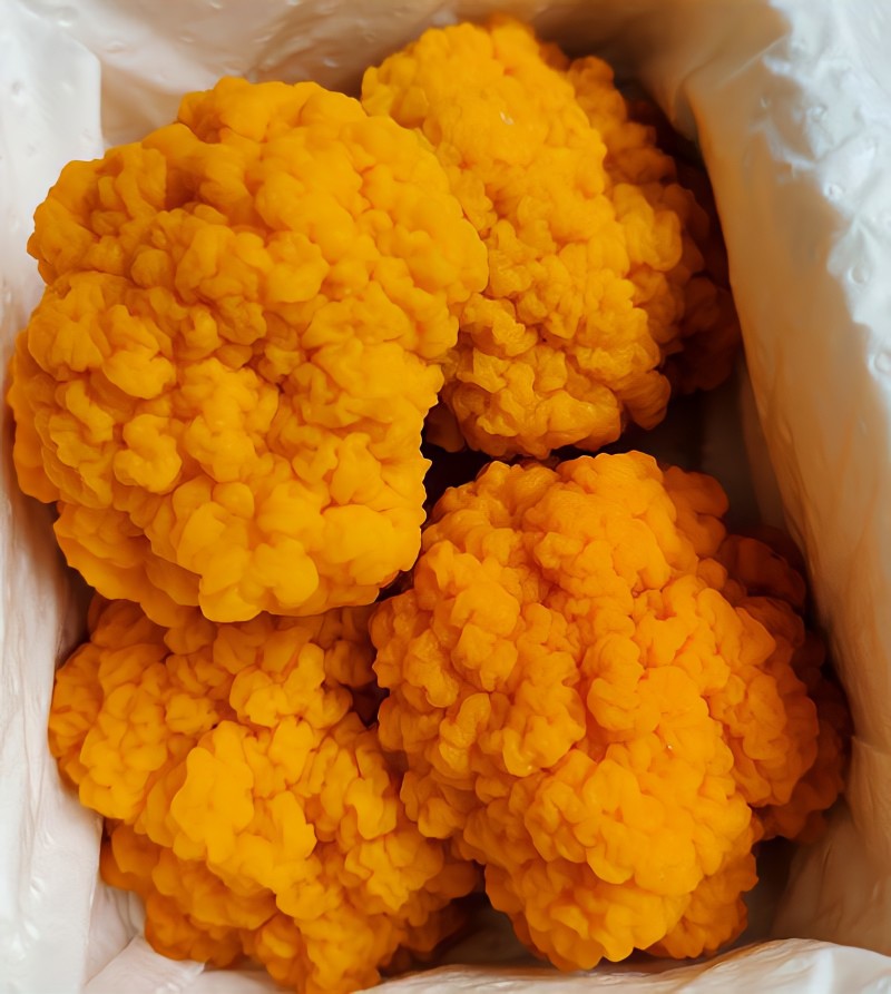 【顺丰包邮】新鲜金耳菌低脂低卡