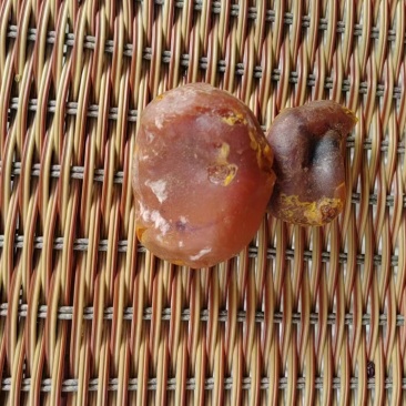 鸡黄