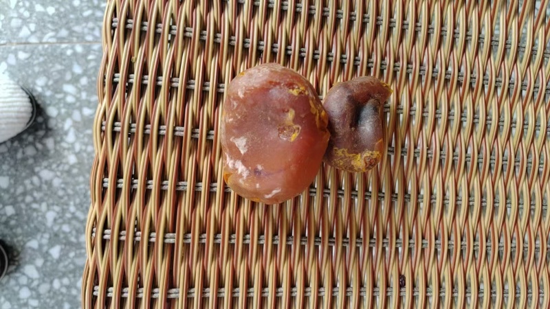 鸡黄