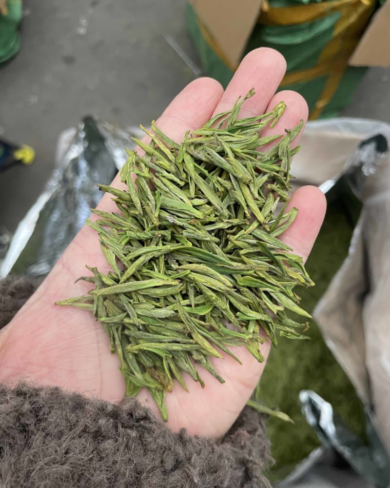 白茶毛峰