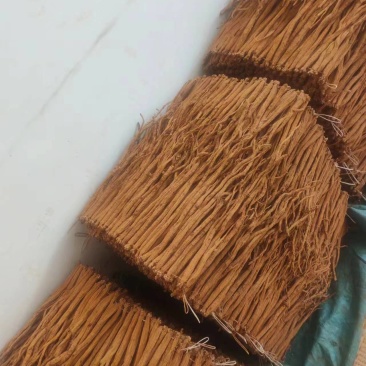 贵州威宁黄党参