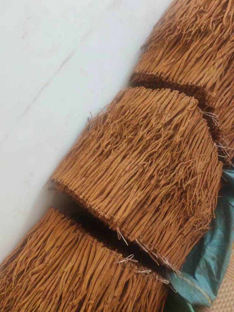 贵州威宁黄党参