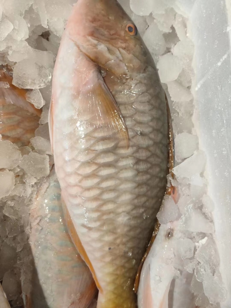海鲜