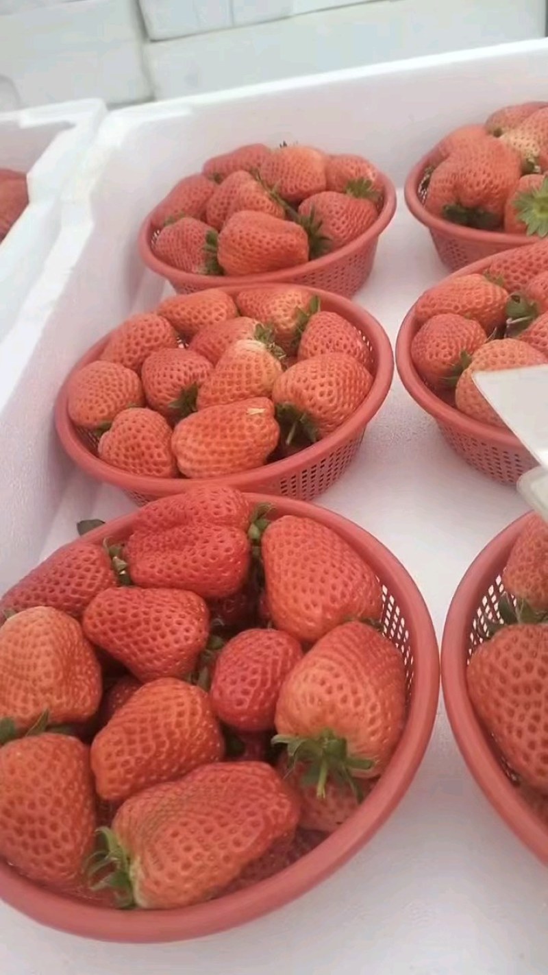 水果