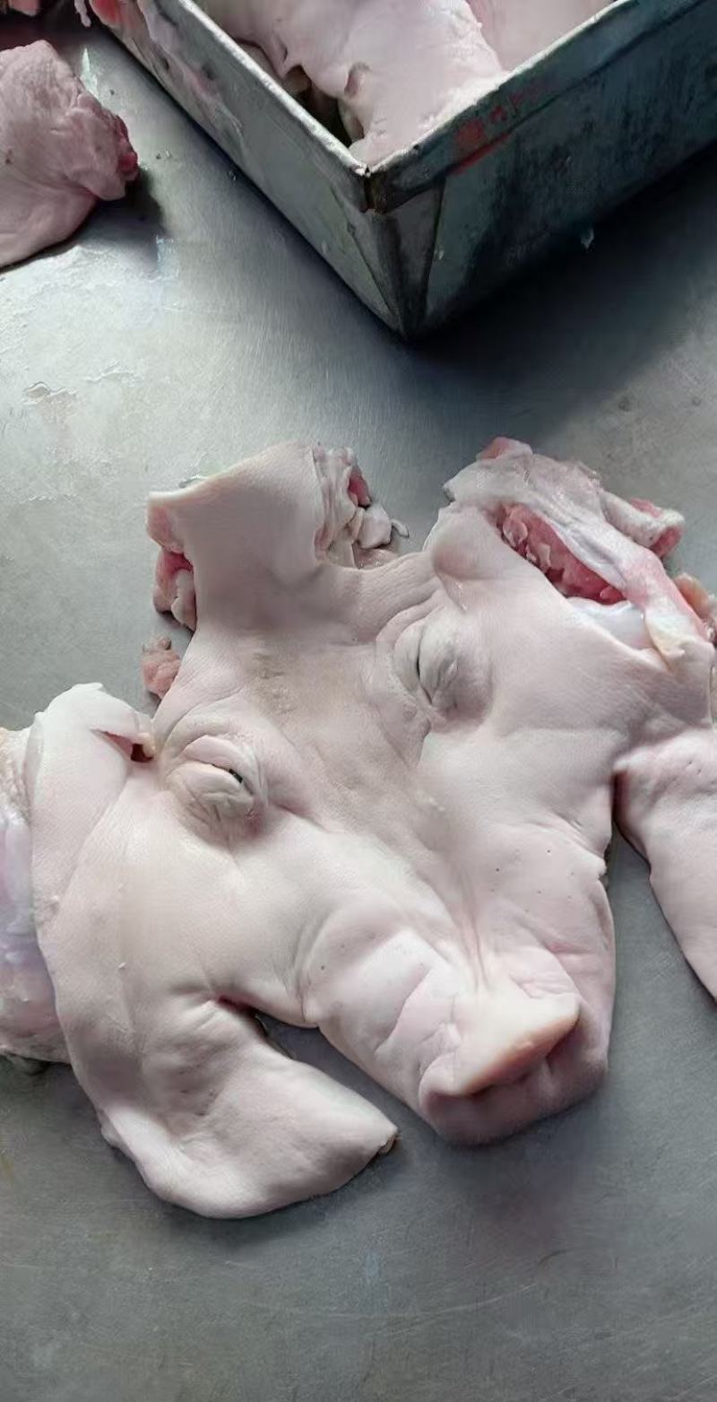 去骨生扒猪脸肉牧原鲜头分割