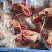 二级5两鸽子1000只