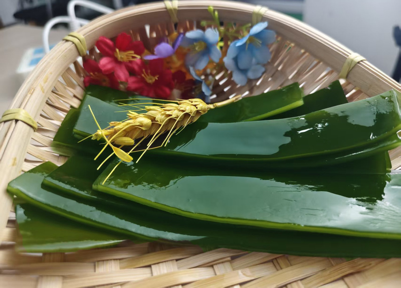 烘干海带高泡发