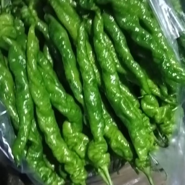 螺丝椒五彩椒尖椒有货