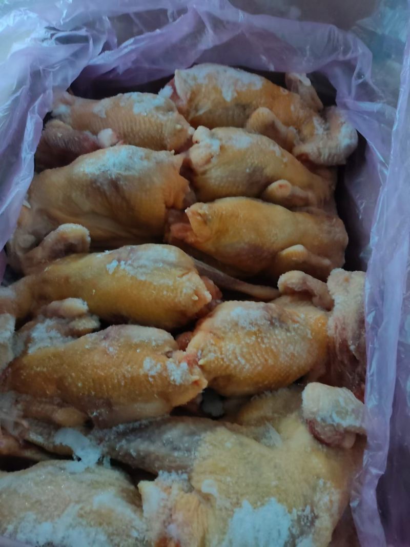 黄油老母鸡80吨7000+，有需要的微我