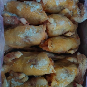 黄油老母鸡80吨