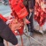 长丰县杨庙镇董大姐新鲜现宰水牛肉