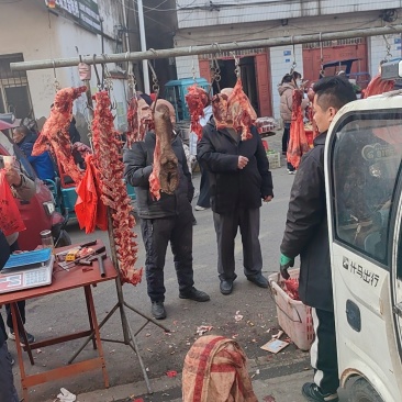 长丰县杨庙镇董大姐新鲜现宰水牛肉