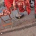 长丰县杨庙镇董大姐新鲜现宰水牛肉