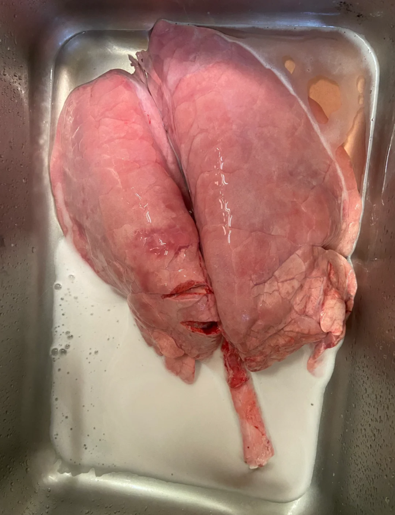 猪肺1（热鲜）柳州同城当日现宰干净无异味清洗干净餐饮家